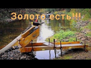 Золото в щетках 4