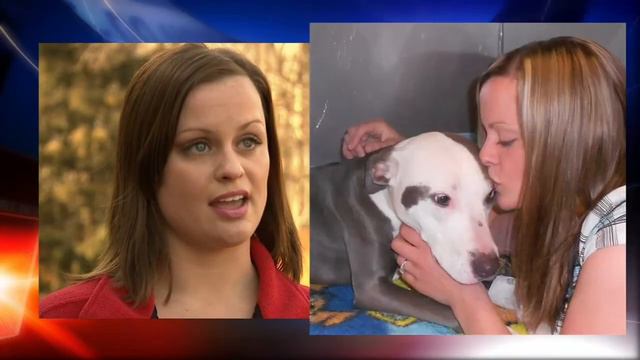 6abc Shelter Me: Pit Bull Pride of Delaware смотреть онлайн