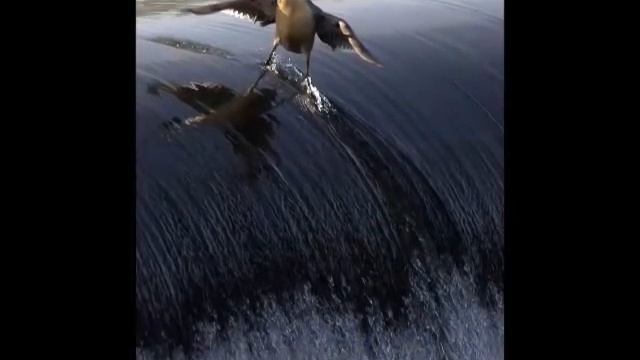 Самые нереальные картинки смотреть онлайн