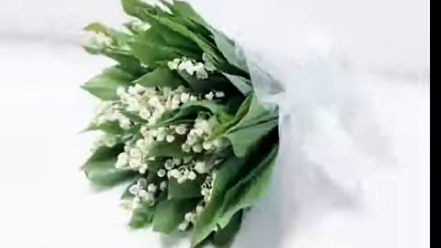 8 марта.wmv смотреть онлайн