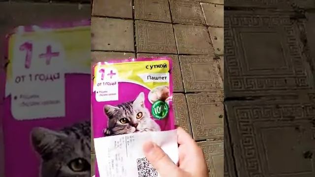 Самое доброе видео смотреть онлайн