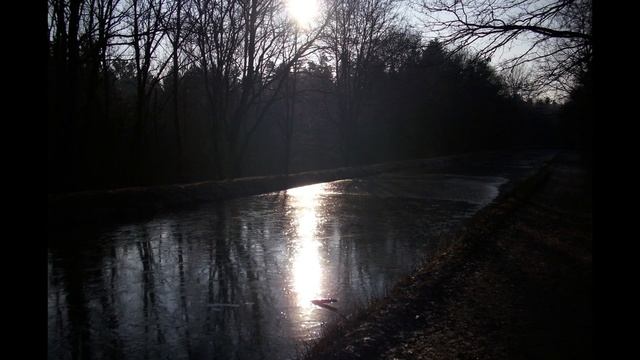 Gringo (spanish classical guitar) Rumba Flamenco смотреть онлайн