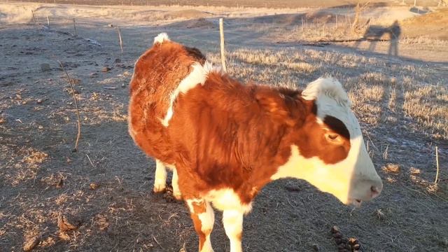 У природы нет плохой погоды. смотреть онлайн