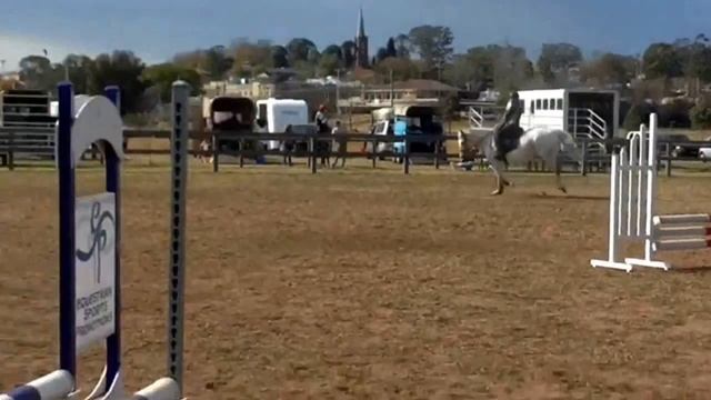 Sheany Park Chantilly Lace