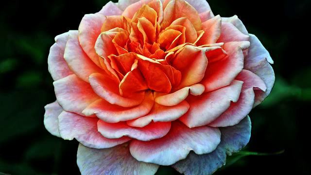 Самые новые новинки и фото онлайн смотреть онлайн