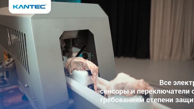 ?? Kelebec: Оборудование Для Выделения Мяса Из Спинки Курицы | Chicken Back Deboning Machine смотреть онлайн