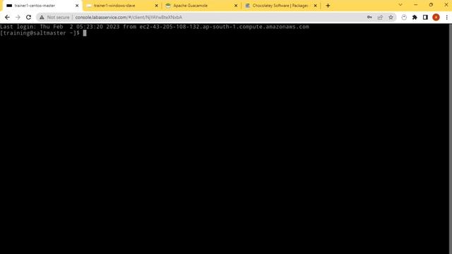 Windows Package Manager - Salt Stack | #saltstack #WindowsPackageManager #devops смотреть онлайн
