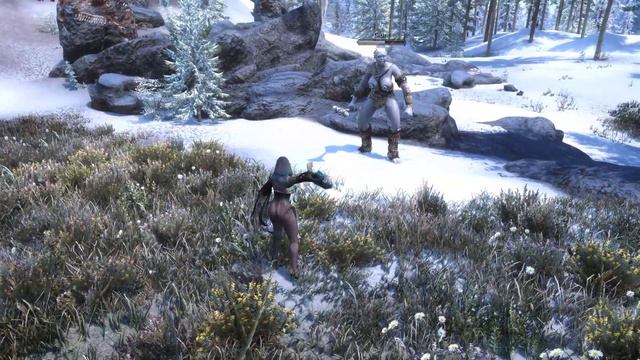 Skyrim SE: Desecration