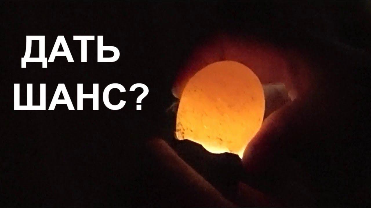 Проверяю работоспособность индюка Дать шанс или нет? Содержание индюков смотреть онлайн