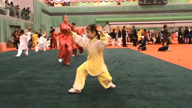 Hong Kong Wushu 2009 Girls Taijiquan Competitions In China Тайцзицюань девочки. Выступление детей.