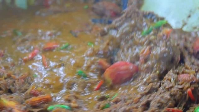 Egg Prawn Rice with famous Chicken Kosha Recipe cooking for village people | villfood Kitchen смотреть онлайн