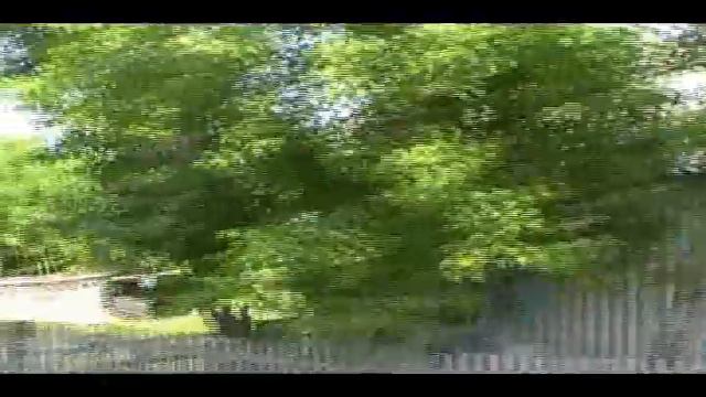 Село Зубково 2011 год смотреть онлайн