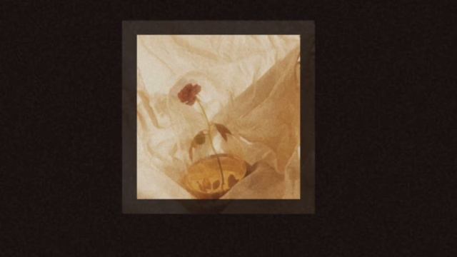𝐍𝐘𝐌𝐏𝐇𝐎𝐌𝐀𝐍𝐈𝐀𝐂. - 𝐛𝐲 𝐌𝐎𝐇𝐄𝐓𝐎𝐘𝐊𝐀 (𝐬𝐥𝐨𝐰𝐞𝐝 𝐝𝐨𝐰𝐧) смотреть онлайн
