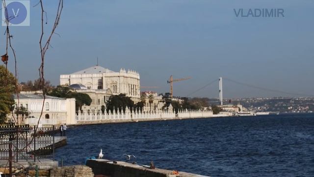 Как жить без весны - Владимир Храпонов @2021@ Logic /Cover/ смотреть онлайн