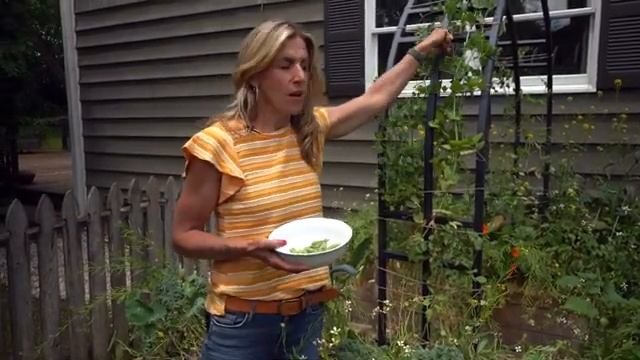 How Many Sugar Snap Peas Can You Really Get from One Plant? смотреть онлайн