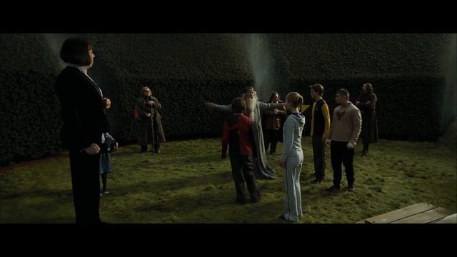Fleur Delacour Scenes | Logoless 1080p