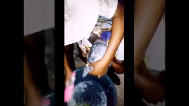 Kijan pou' met Scurl nan tèt ou san pwoblm смотреть онлайн