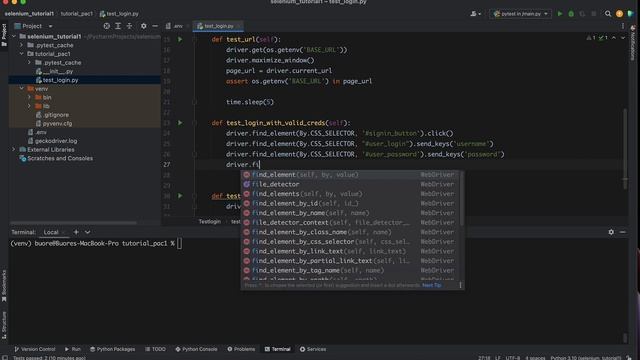 selenium python login test смотреть онлайн