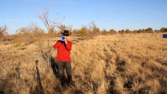 Клипхох А мне всё снятся твои глаза