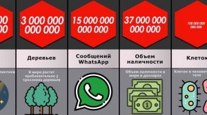 Сравнение: Числа до бесконечности