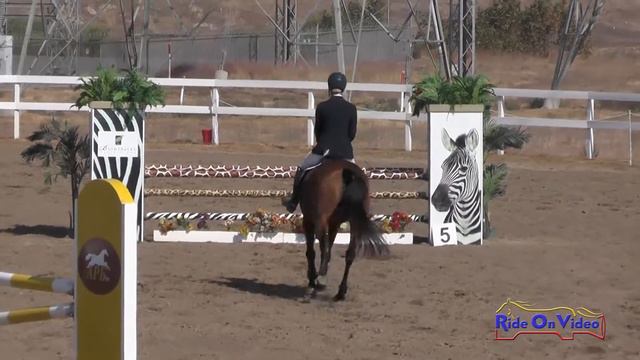 075S Katy Johnstone on Ballingowan Ginger SR Training Show Jumping FCHP October 2016 смотреть онлайн