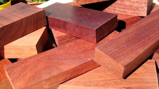 Какое дерево имеет самую твёрдую древесину? смотреть онлайн