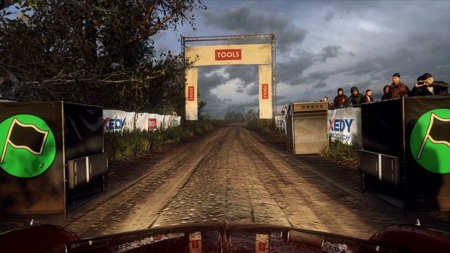 [ПЕРВЫЙ ВЗГЛЯД] DIRT RALLY 2.0