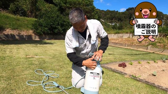 今年もアオムシで悩まされる時期になりました。対策しましょう смотреть онлайн