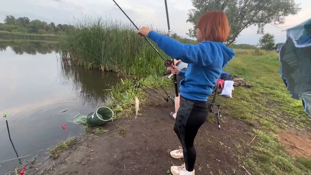 VLOG Удачная рыбалка смотреть онлайн