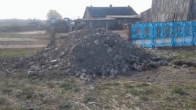 ПОСТРОИЛИ БОЛЬШОЙ ЗАГОН!ВЫПУСТИЛИ ТУДА БЫЧКОВ! смотреть онлайн