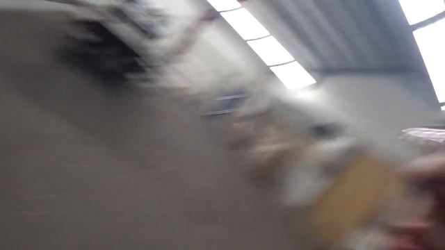 TOTALER Reinfall! Maut Sparen Geht Schief... 1700km LKW Roadtrip In Gefahr?