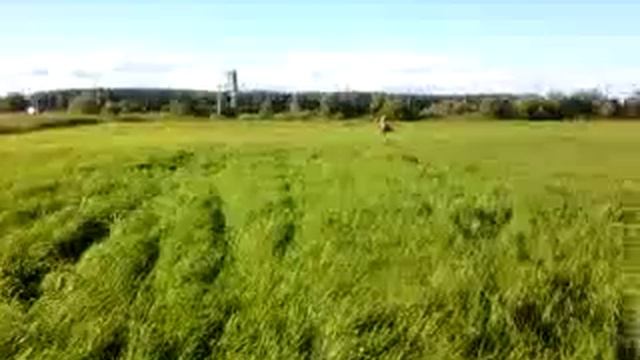 Видео0046 смотреть онлайн