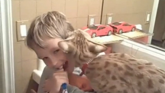 -Ну дай почистить зубы! смотреть онлайн