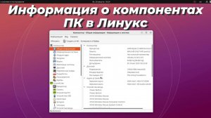 Информация о компонентах компьютера в Линукс