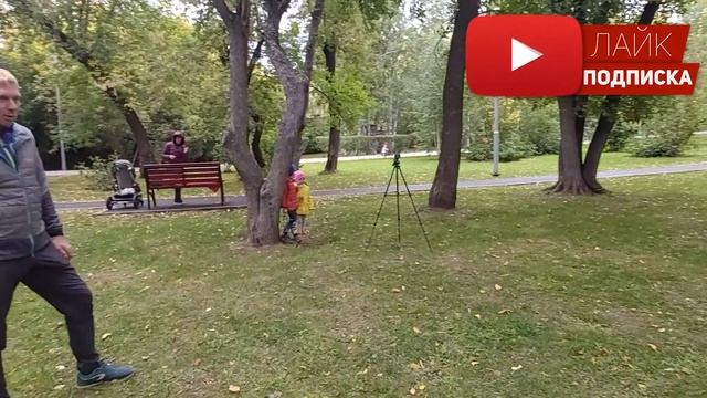 Первая тренировка Блека ОКД. Тибетский мастиф. смотреть онлайн