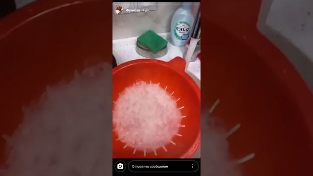 Наука и Открытия в Мире Технологий