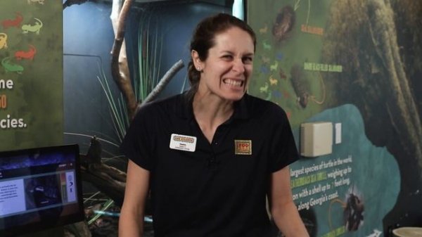 Weird Animal Facts: Salamander