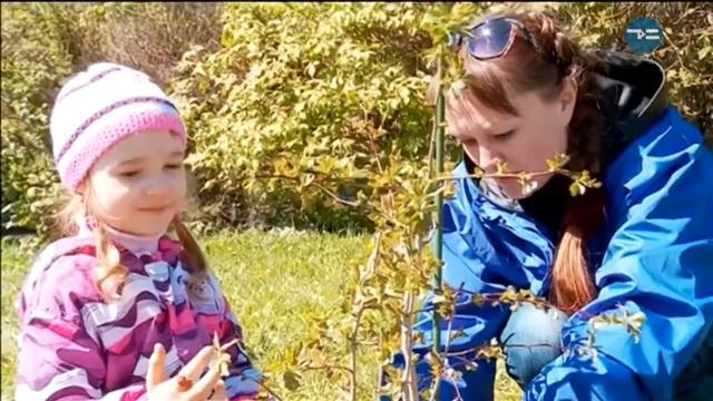 Зеленый город смотреть онлайн