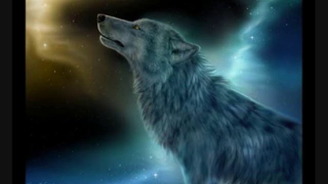 Lone Wolf 🐺(Nino Rota - Romeo And Juliet )