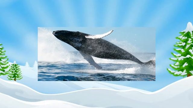 Развивающие мультики - Учимся читать смотреть онлайн