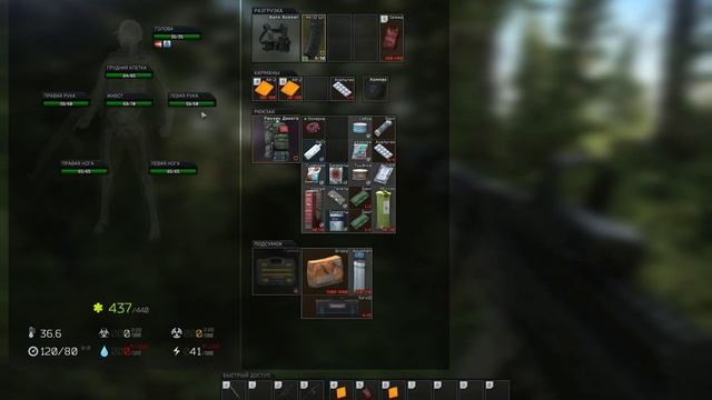 EFT Лес, -2 USEC'а за минуту, Квест Егеря "Путь выживальщика - Живчик", EVGA FTW3 RTX 3070Ti смотреть онлайн