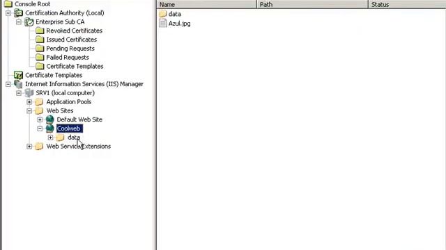 Microsoft CA - How to install a certificate on a Microsoft IIS 6.0 web site смотреть онлайн