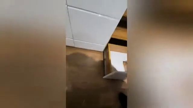 Видео обзор гостиная "НЕНСИ" смотреть онлайн