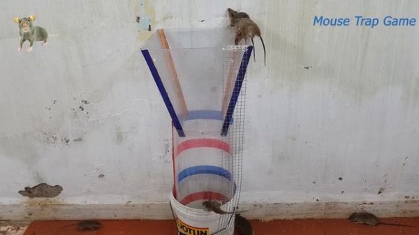 Mousetrap Game - Special Mouse Trap - How To Make Trap From Bottle
