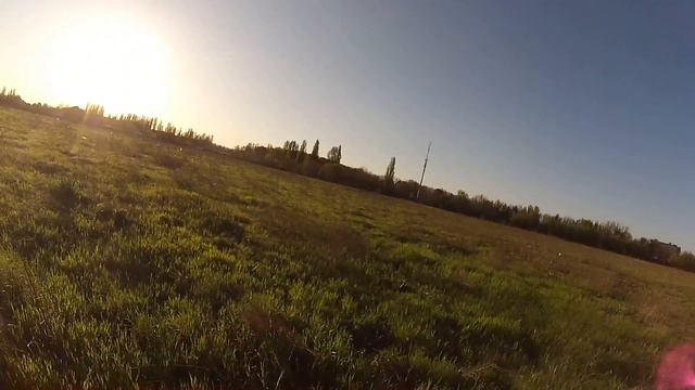 Молодой дратхаар. Межсезонье . HS смотреть онлайн