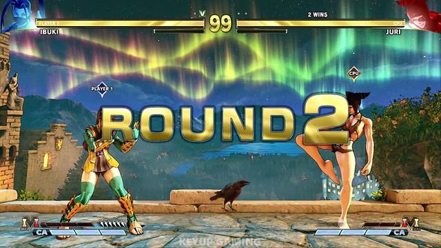 Ibuki Akane vs Juri Night Cage Street Fighter V PC Mods смотреть онлайн