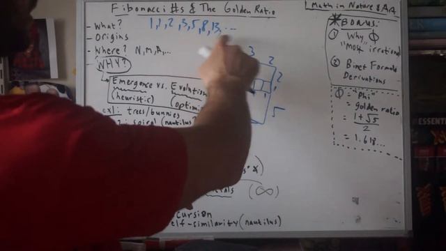 102. Fibonacci Numbers & The Golden Ratio (Math in Nature & Art - Part 6) смотреть онлайн