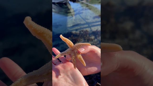 #море #путешествия # #trevel #норвегия #norway #norwaylife #мальдивы #отпуск #беженцы #украинцы смотреть онлайн