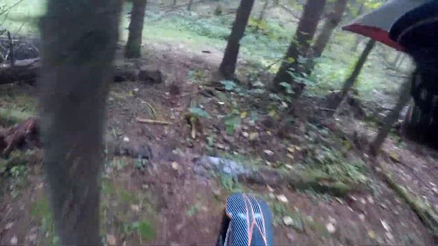 Лесной трек-Полный круг!#Осень2020#max3#ktmexc300 смотреть онлайн