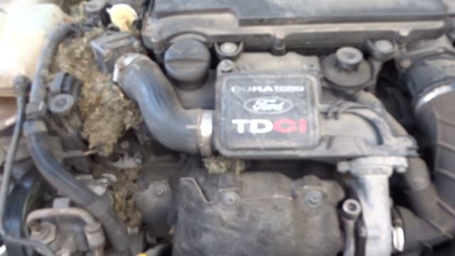 Ford Fiesta MK6 1.4 TDCI kompletny silnik смотреть онлайн
